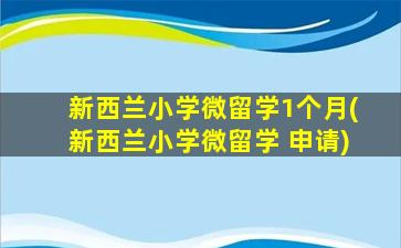 新西兰小学微留学1个月(新西兰小学微留学 申请)